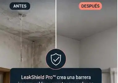 LeakShield Pro™- SPRAY ANTI GOTERAS ADIOS FILTRACION ( GRIS)